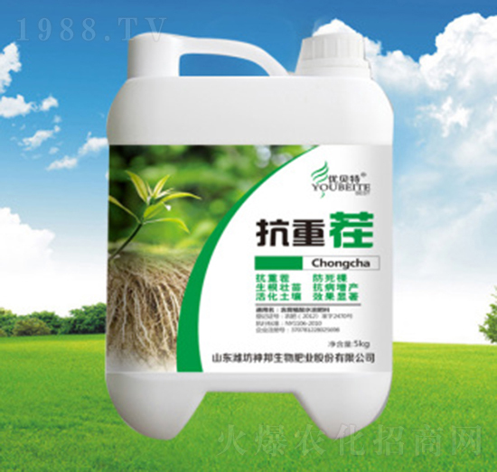 ���ز�Ͱ��-�������