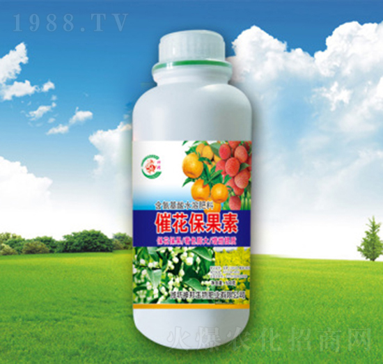 �߻�������-�������