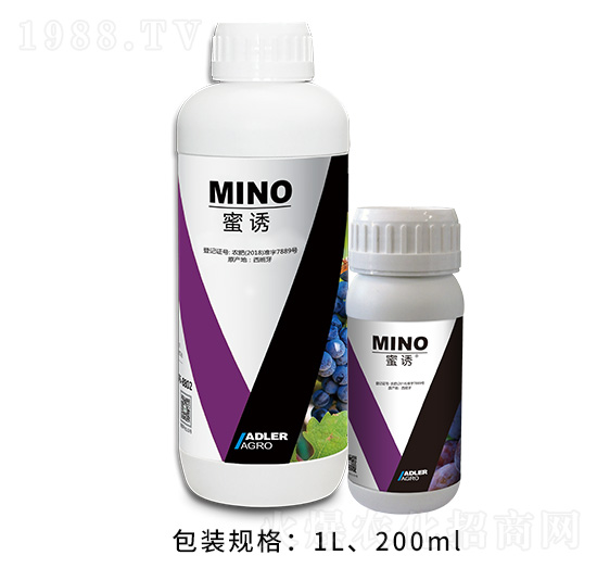 ���T-�͂��_