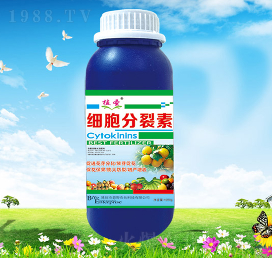 細(xì)胞分裂素-碧野農(nóng)化