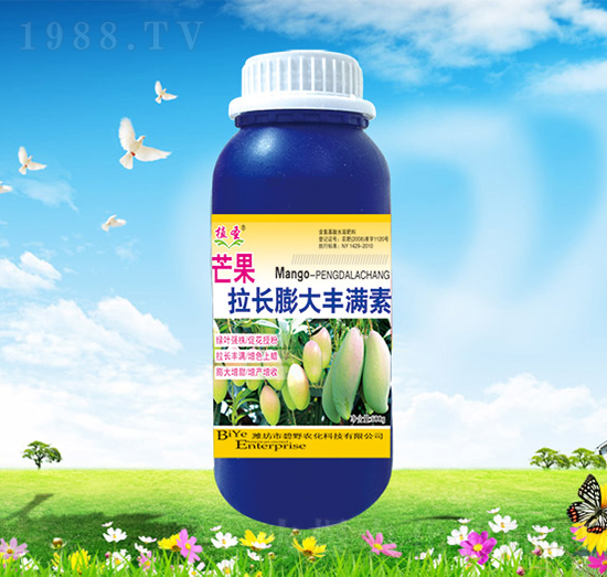 芒果拉長(zhǎng)膨大豐滿素-植圣-碧野農(nóng)化