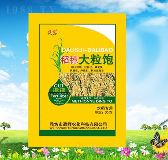 稻穗大粒飽-植圣-碧野農(nóng)化