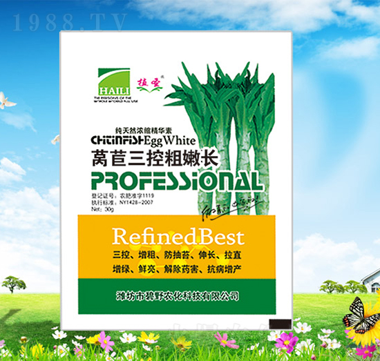 萵筍三控粗嫩長-植圣-碧野農(nóng)化