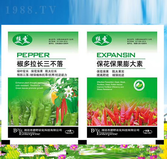 ?；ū９虼笏?椒多拉長三不落-植圣-碧野農(nóng)化