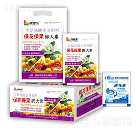 �������������-���ɷʘI(y��)