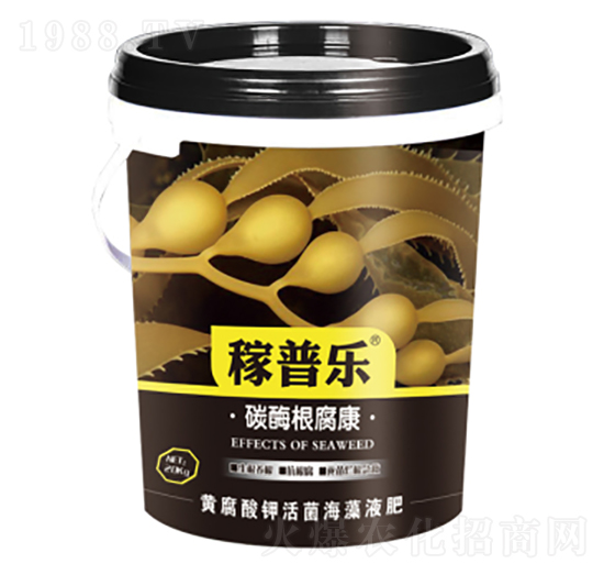 ̼ø������-���՘�(l��)-��(r��n)�ɷʘI(y��)