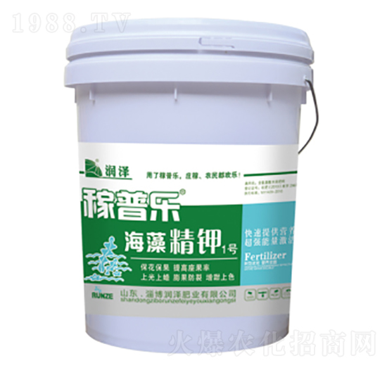 ���徫�1̖(h��o)-���՘�-���ɷʘI(y��)