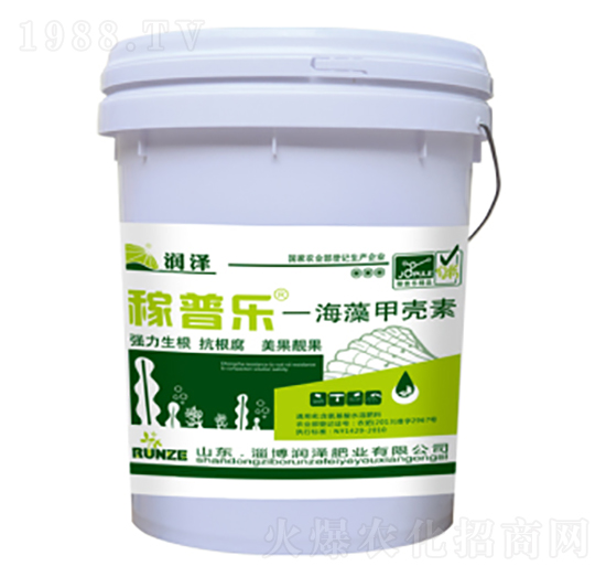 ����ך���-���՘�(l��)-��(r��n)�ɷʘI(y��)