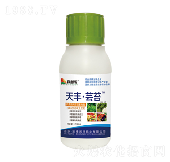 ���S���|̦-���՘�(l��)-��(r��n)�ɷʘI(y��)