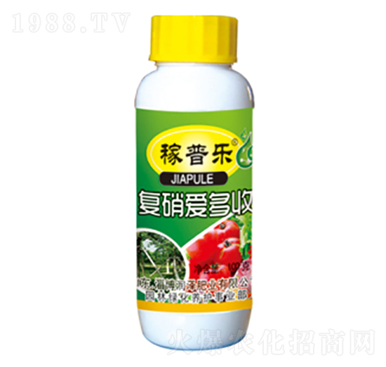 �����۶���-���՘�-���ɷʘI(y��)