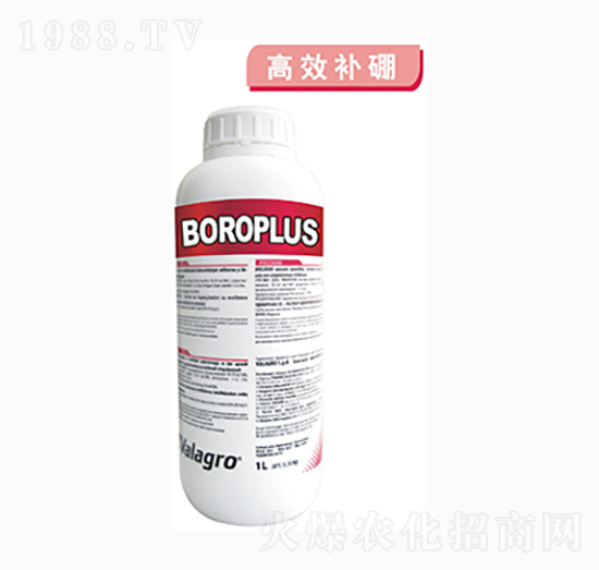 ����Һ�w��-������-��ʿ�r�I(y��)