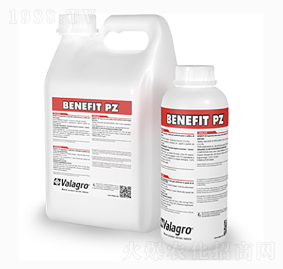 �����ىф�-������_(d��)-��ʿ�r(n��ng)�I(y��)