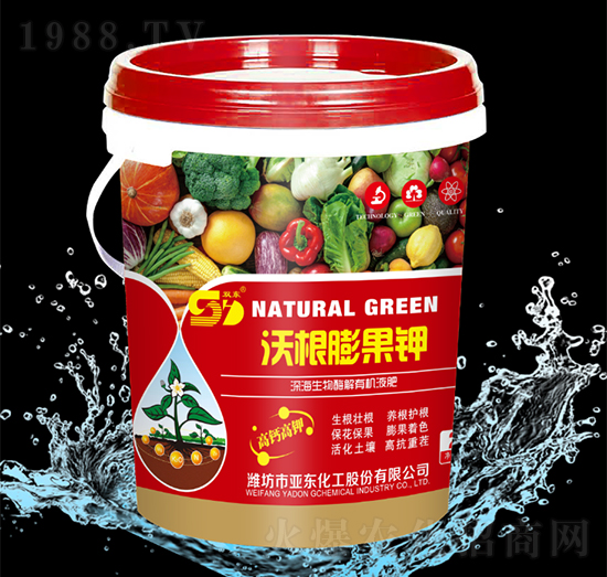 �ָ�����-��?w��n)|����