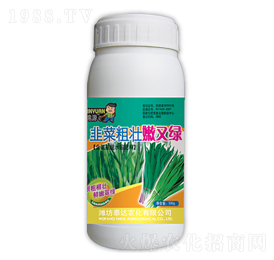 韭菜粗壯嫩又綠-泰達農(nóng)化