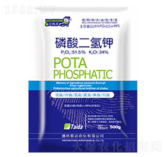 �������⛣�500g��-̩�_�r��