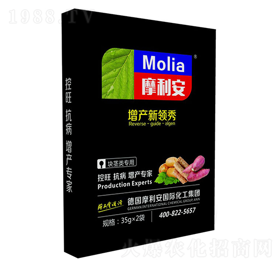 �K�o���-Ħ����