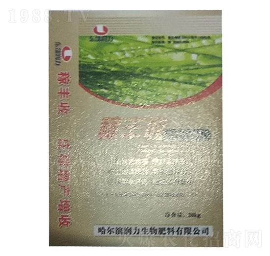 ���S��-����