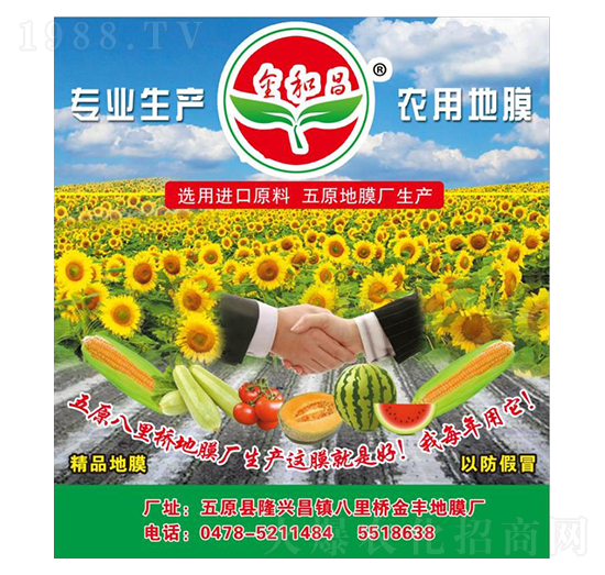 �r�õ�Ĥ-��Ͳ�