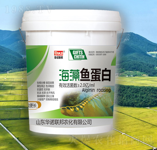 �����~(y��)����-�A�Z(li��n)��