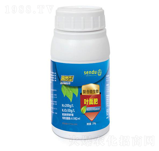 �ߵ��͏ͺ�΢�����~���-ɭ��