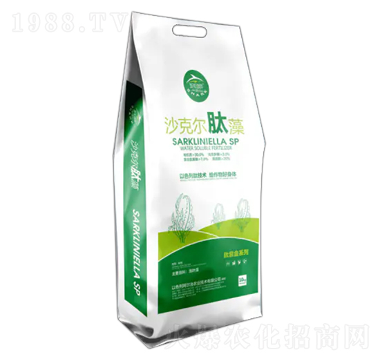 ɳ�ˠ�����-�������r(n��ng)�I(y��)