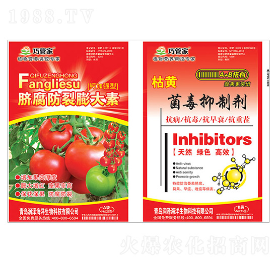 Ě�����������+���S�������Ƅ�-�ɹܼ�-����