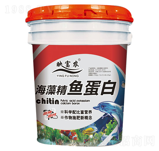 ���徫�~����-ӳ���r-���_����