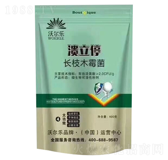 �L(zh��ng)֦ľù��-����ͣ-�֠���