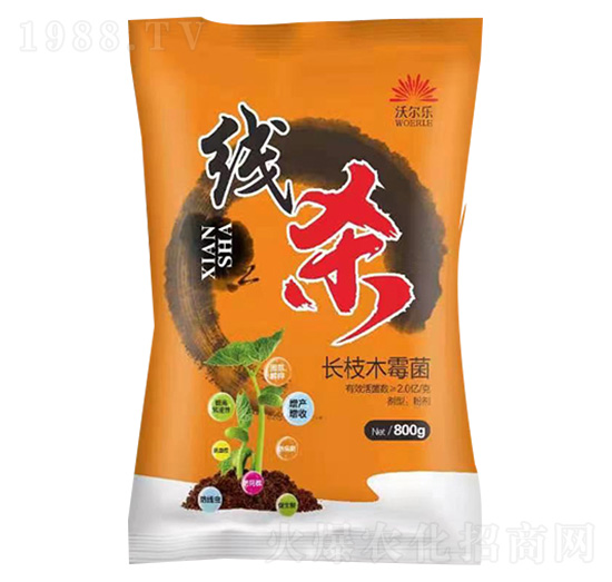 長(zhǎng)枝木霉菌-線殺-沃爾樂
