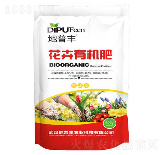 �����ЙC�� �����S