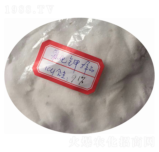 �Ȼ�� ��ï�r(n��ng)�Y