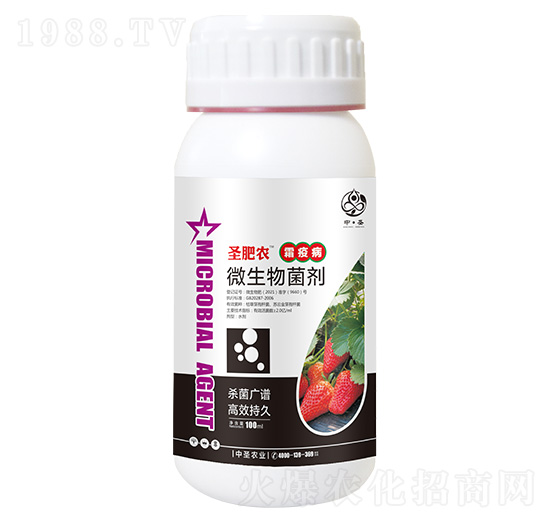 ƿ�b˪�߲�����΢�������-ʥ���r-��ʥ�r�I(y��)