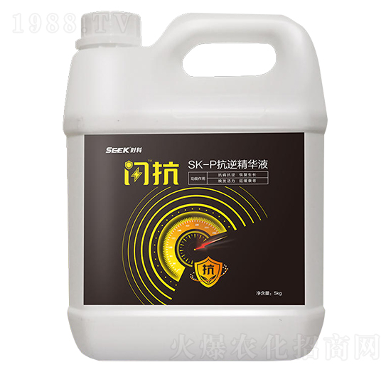 SK-P���澫�AҺ-�W��-�r��