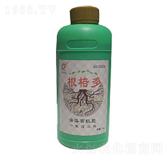 �����ЙC(j��)��-������-�ʺ̶��S