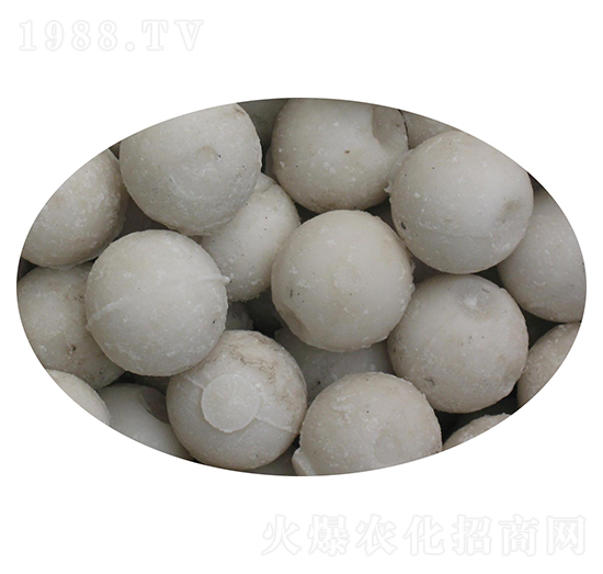 ���w���ͷ�-��M��