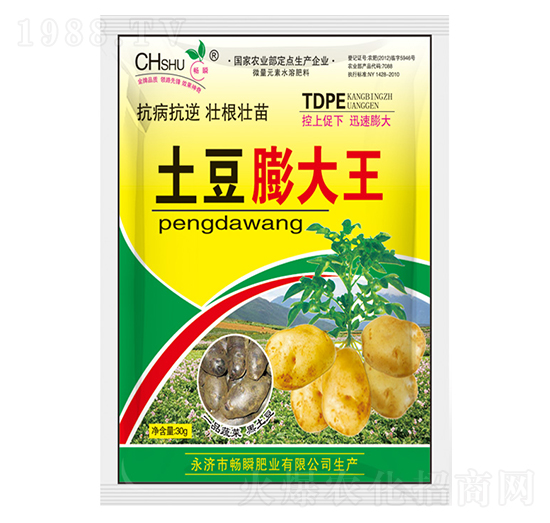 土豆膨大王-暢瞬