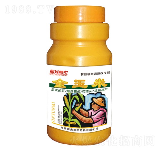金玉米-國光益農(nóng)