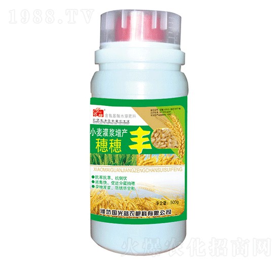 小麥灌漿增產(chǎn)穗穗豐-國(guó)光益農(nóng)