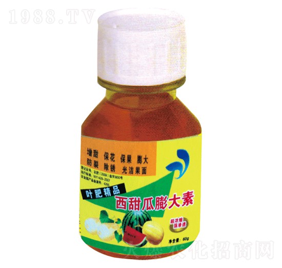 西甜瓜膨大素-國光益農(nóng)