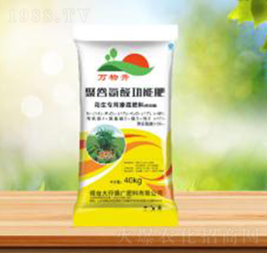 �۹Ȱ��Ṧ�ܷ�-ʢ�A�r�I(y��)