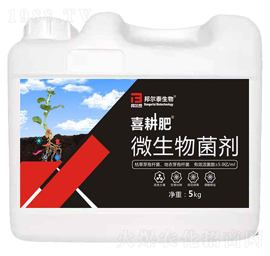 ΢�������-ϲ����-�̩