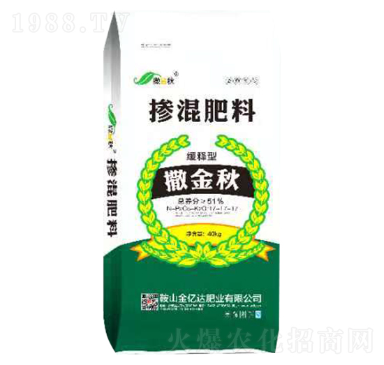 ����͓������17-17-17-������-���|�_�ʘI(y��)