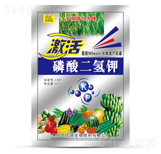 400g��������-����-ʥ�ϝ�(r��n)