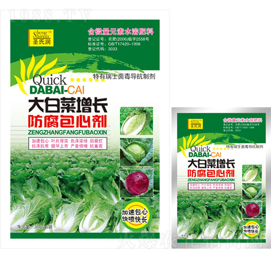 ��ײ����L�������Ą�-ʥ�ϝ�