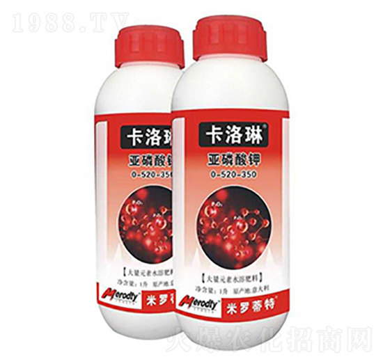 �������-0-520-350-������-��(y��u)��˼