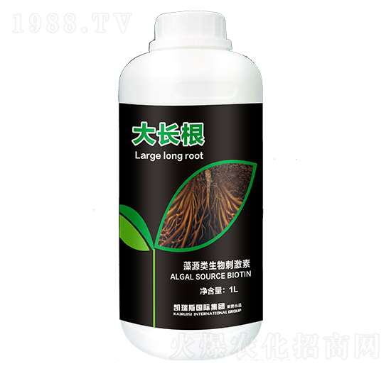 ��Դ�(l��i)����̼���-���L(zh��ng)��-�P��˹