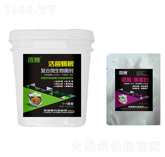 ��(f��)��΢�������-1+1�ײ�-�P��˹