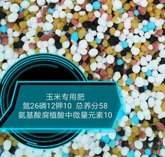 ���׌�(zhu��n)�ð����ḯֲ����΢��Ԫ��26-12-10-���r(n��ng)�r(n��ng)�I(y��)