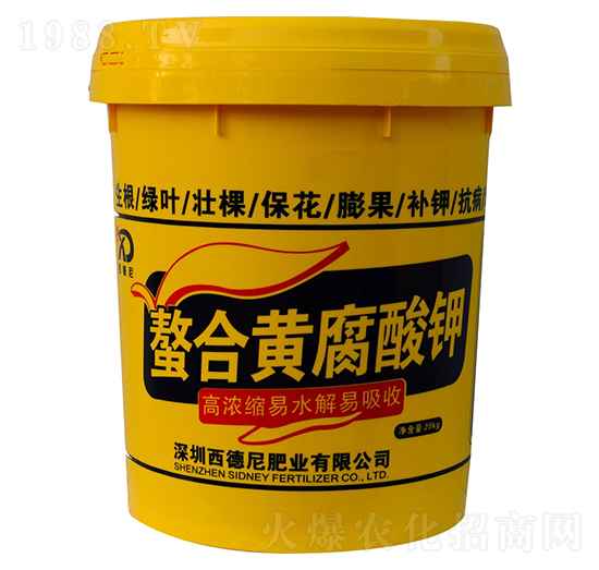 �����S�����-������