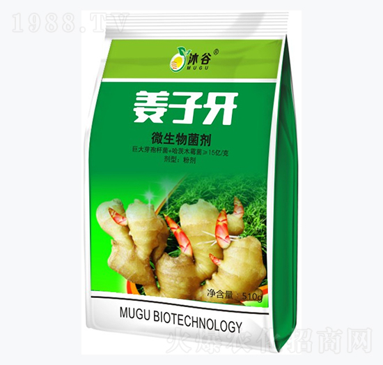 ΢�������-������-�������